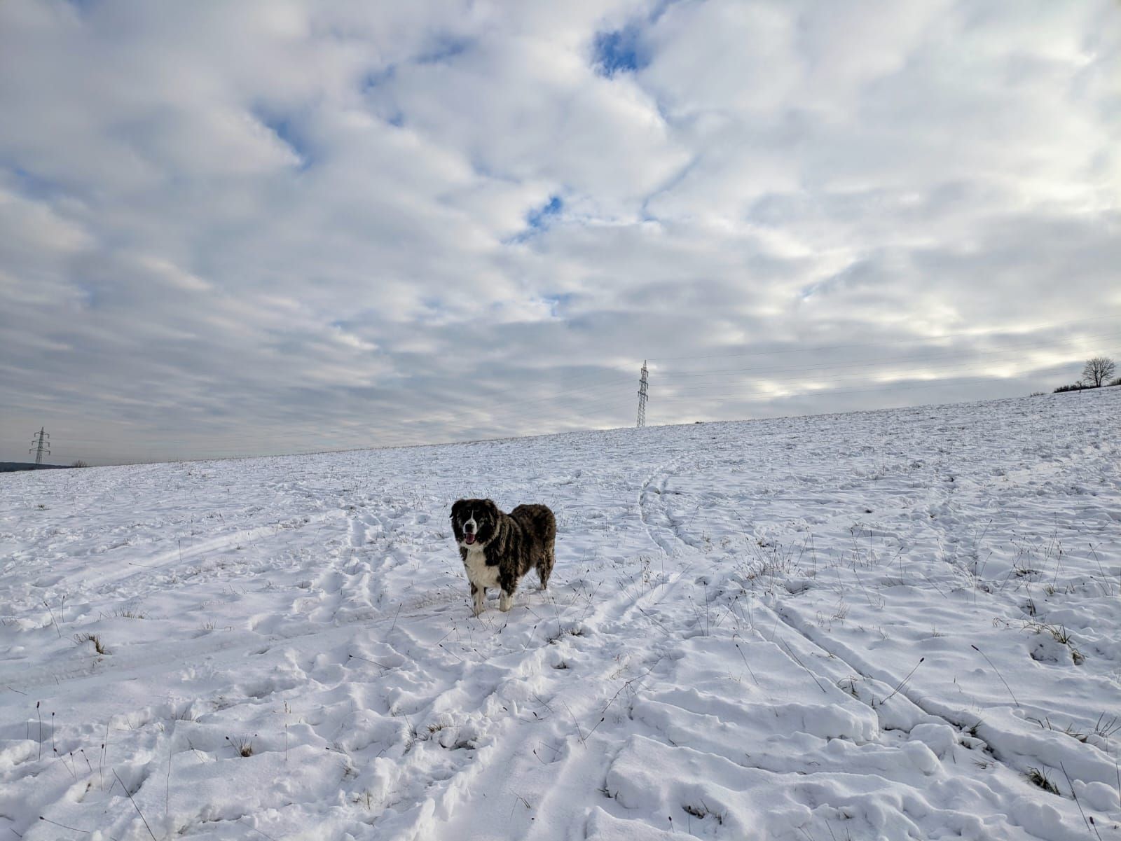 Schneelandschaft am Ferienhaus mit Schlittenwiese