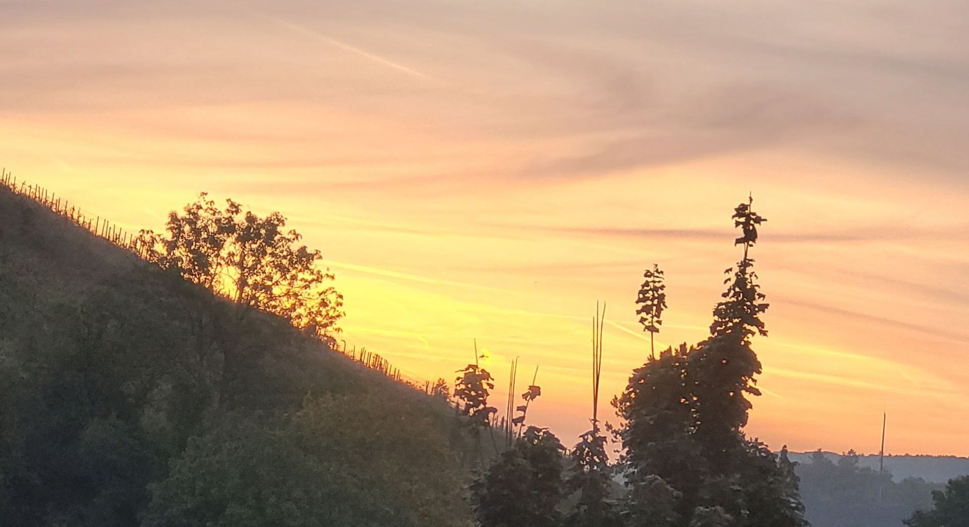 Ausblick vom Balkon in den Sonnenaufgang