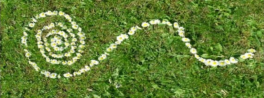 Familienaufstellung - Spirale Gänseblümchen