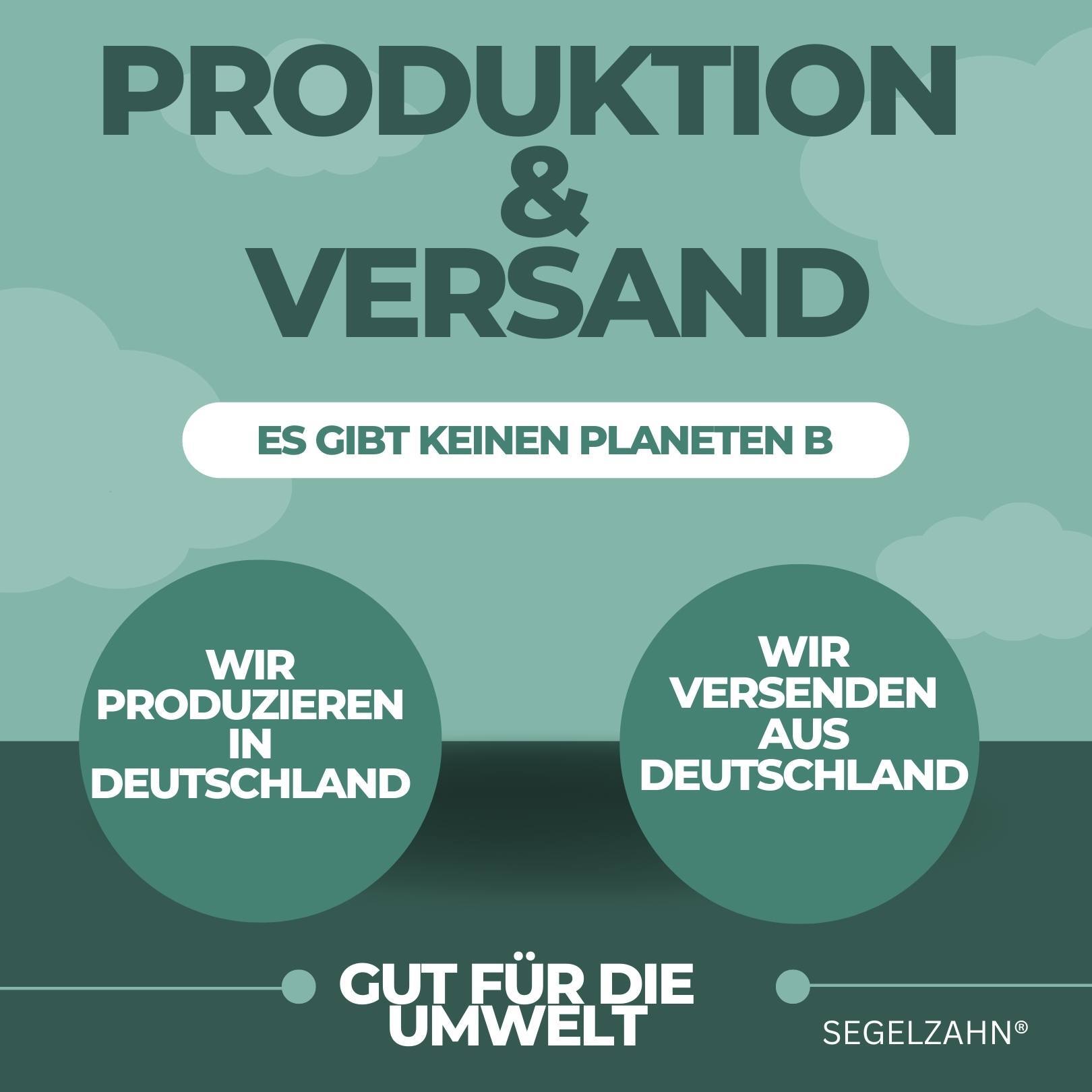 Eine Grafik in der wir dir Zeigen wie genau wir Nachhaltigkeit umsetzen