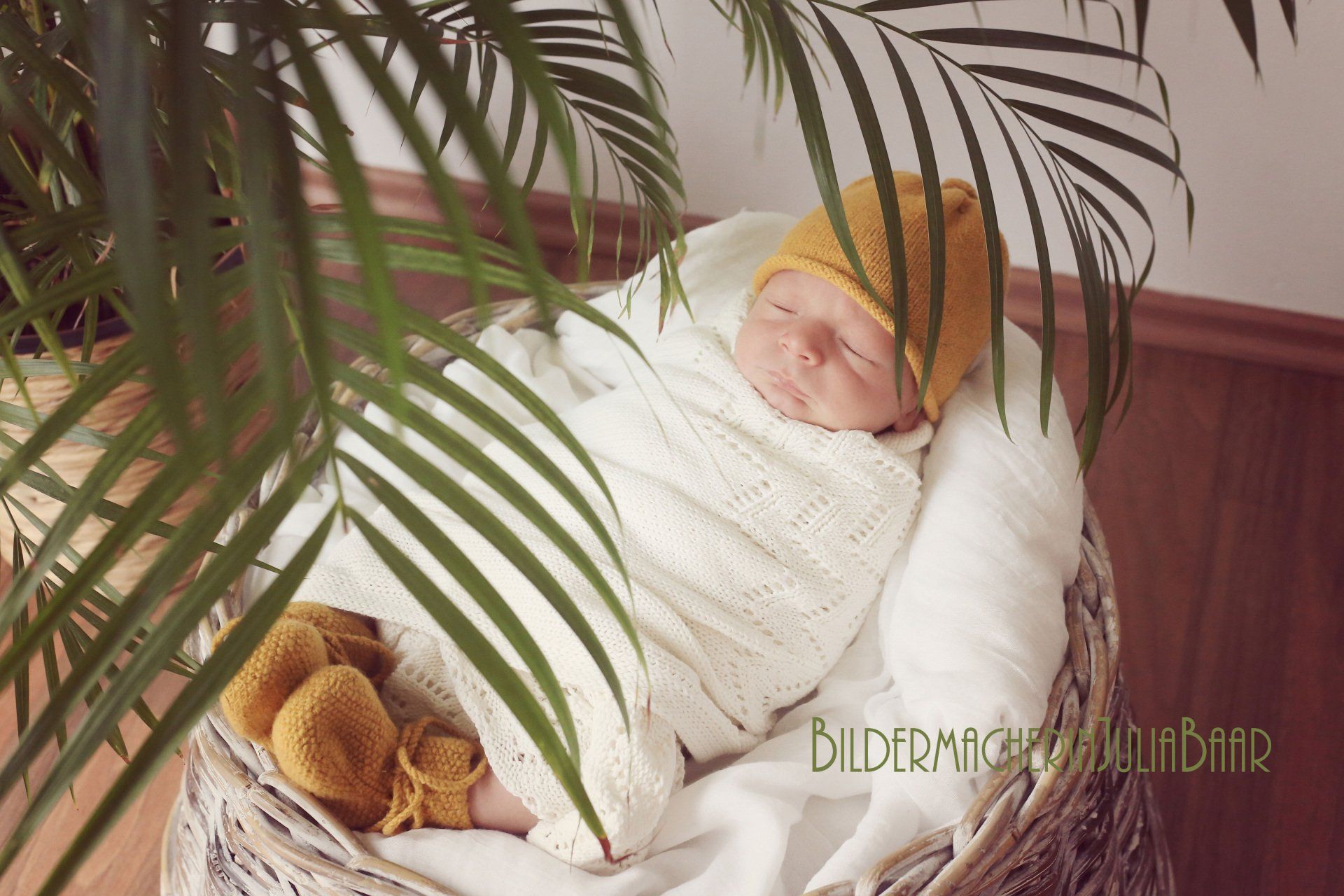 Bildermacherin Julia Baar, Babyfotograf, Babyfotograf in Rostock, Babyfotografin Rostock, Neugeborenenbilder, Familienfotograf, Babyshooting, Babybilder Rostock, Fotograf in Rostock, Fotografin in Rostock, Newbornbilder, Newbornfotograf, Newborn