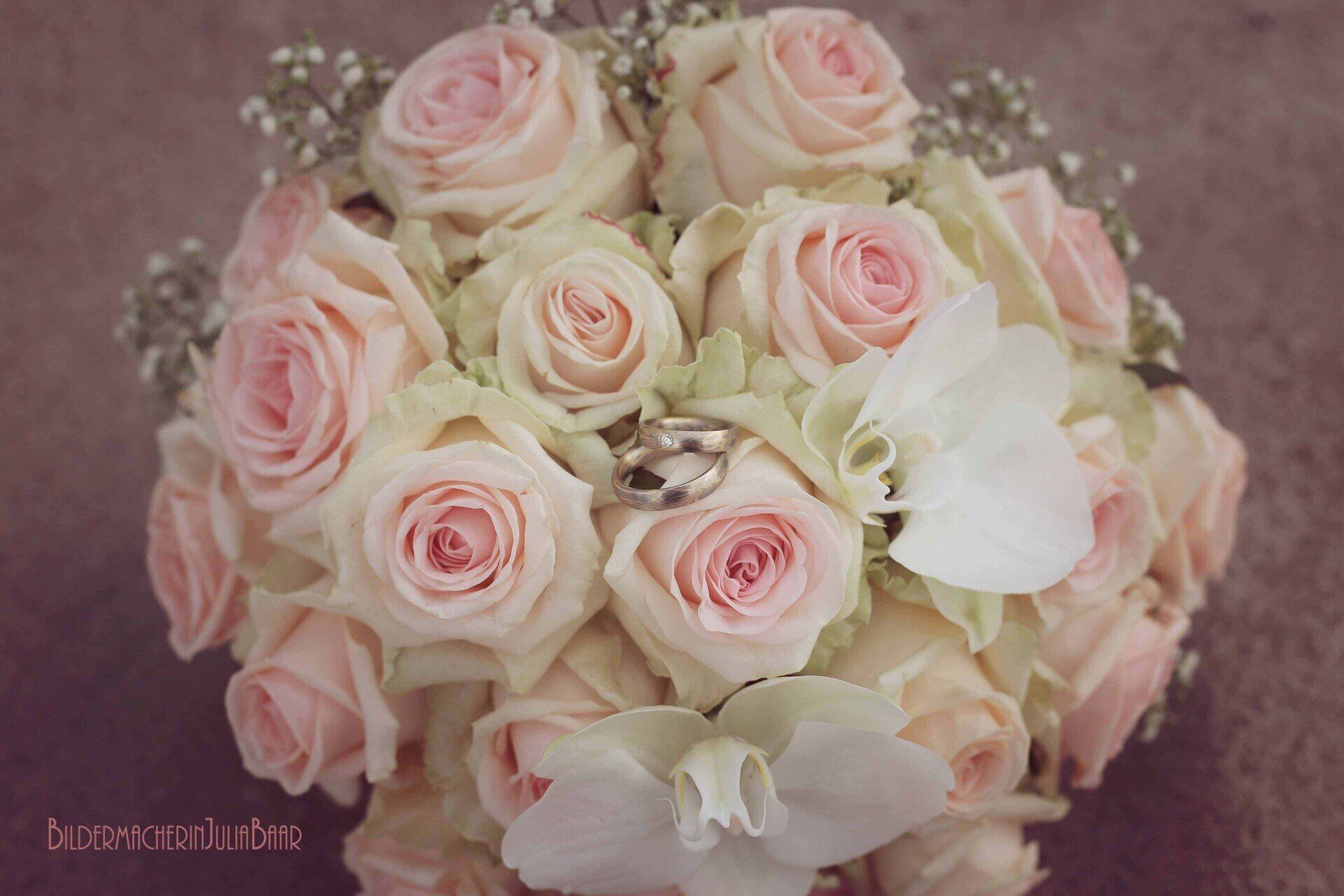 Bildermacherin Julia Baar, Hochzeitsfotograf, Hochzeitsfotograf Rostock, Hochzeit, Hochzeitsfotografin Rostock, Fotograf Rostock, Vintagehochzeit, Vintagefotograf