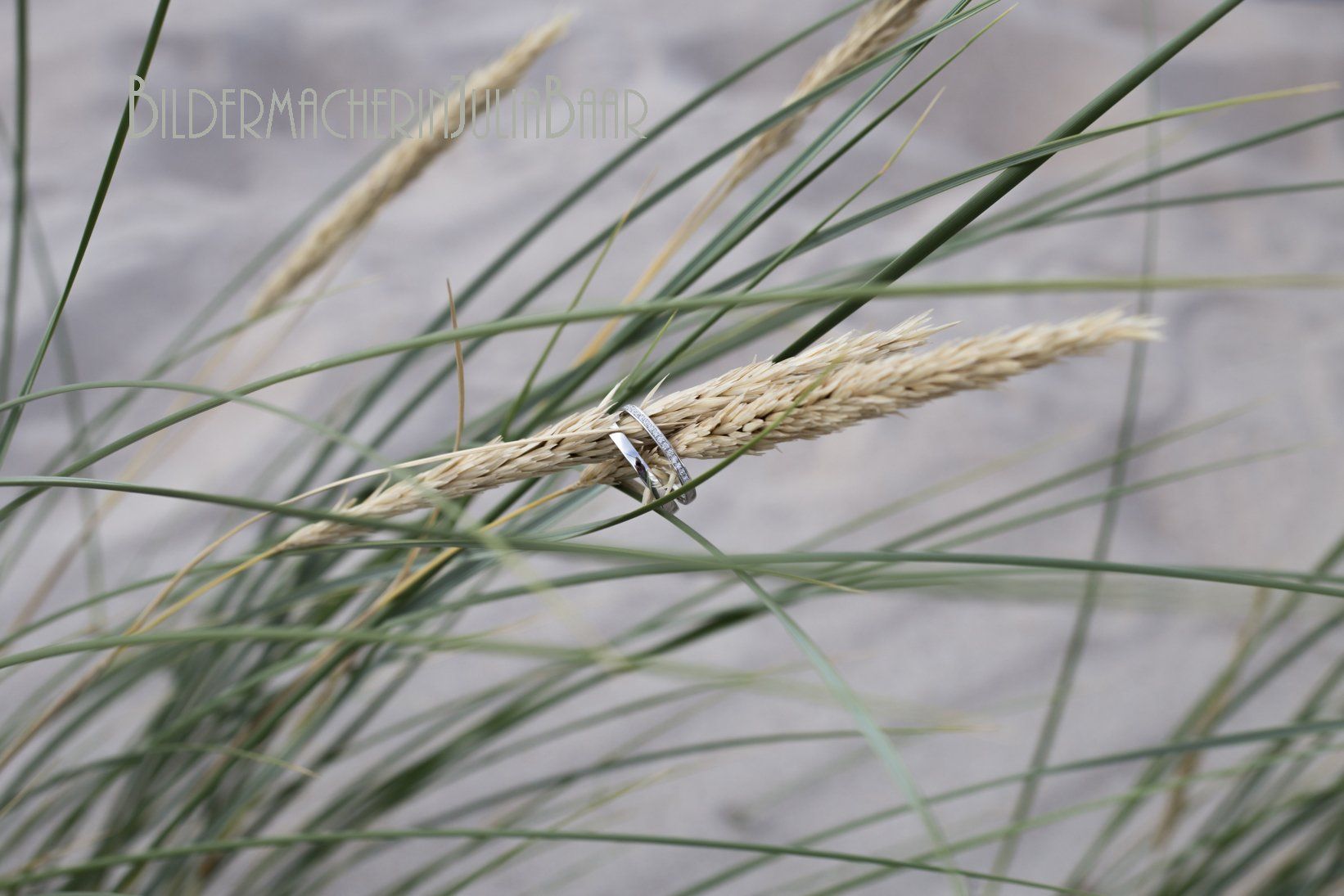 Bildermacherin Julia Baar, Hochzeitsfotograf, Hochzeitsfotograf Rostock, Hochzeit, Hochzeitsfotografin Rostock, Fotograf Rostock, Vintagehochzeit, Vintagefotograf, Eheringe, Vintageringe, Strandhochzeit