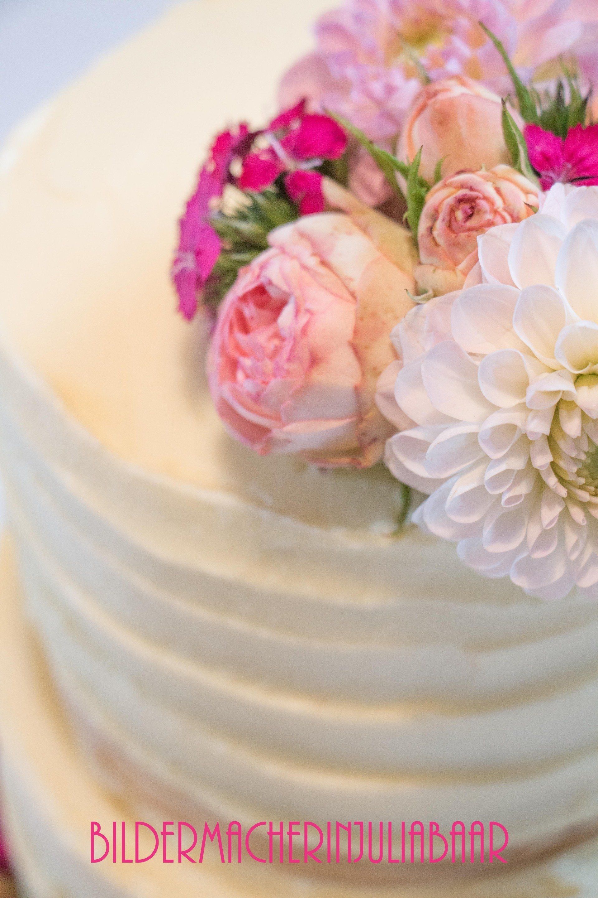 Bildermacherin Julia Baar, Hochzeitsfotograf, Hochzeitsfotograf Rostock, Hochzeit, Hochzeitsfotografin Rostock, Fotograf Rostock, Vintagehochzeit, Vintagefotograf, Hochzeitstorte, Vintagetorte