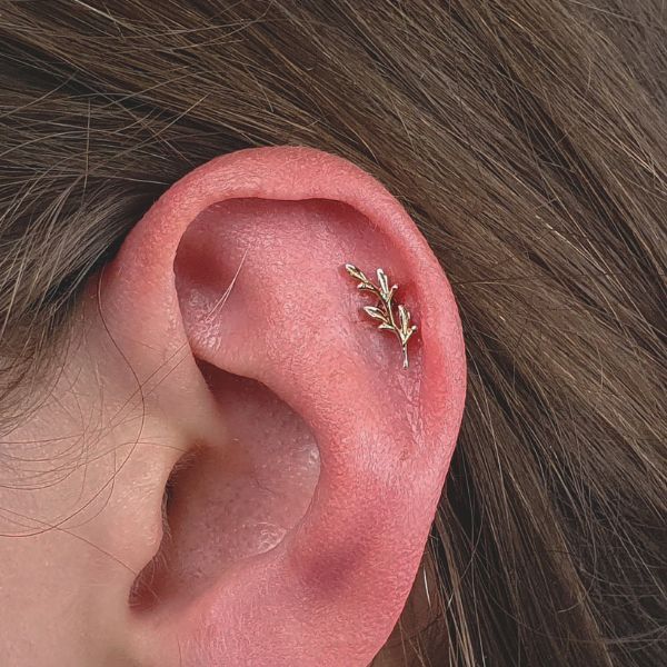 Helix Piercing Düsseldorf Mönchengladbach