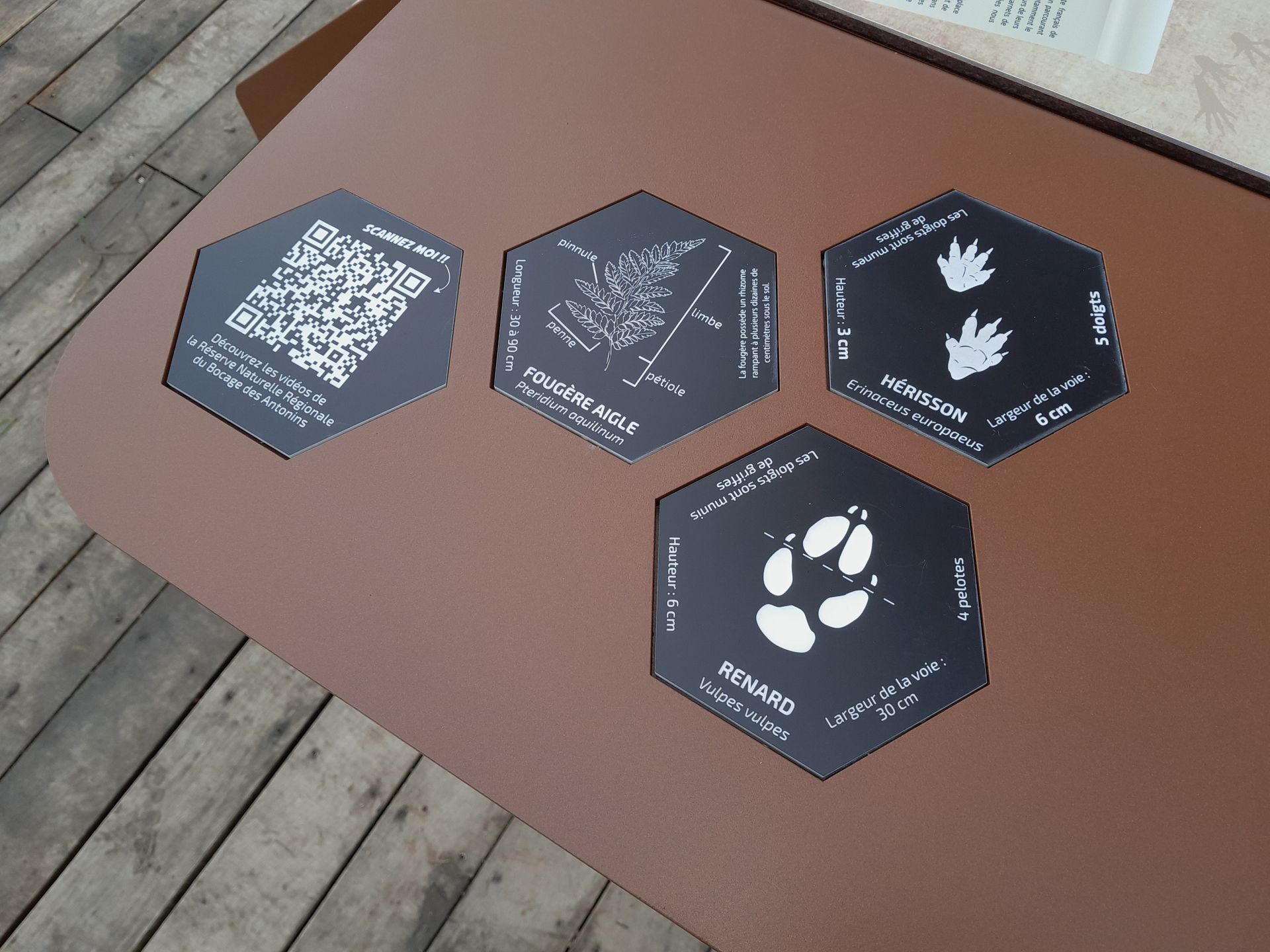 Hôtel à insectes pédagogique