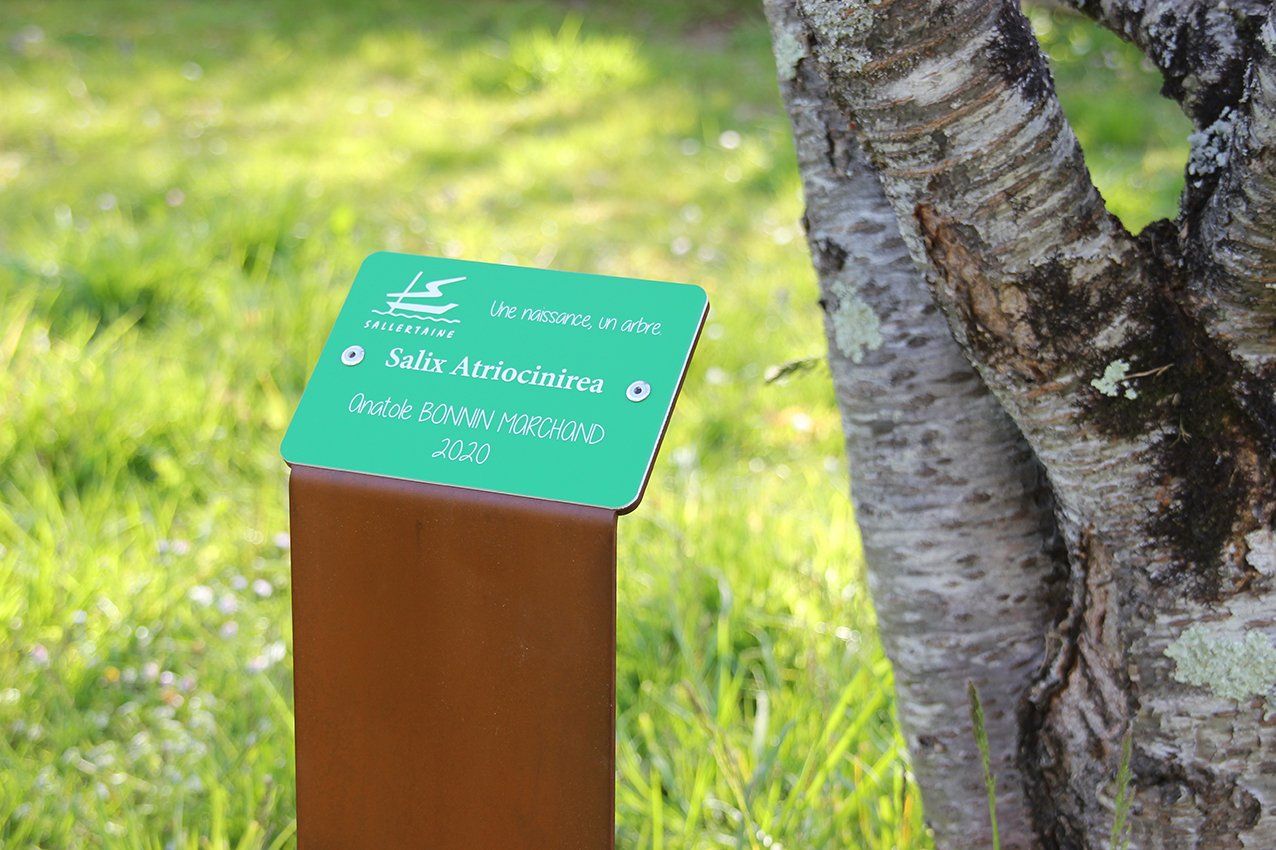 Pupitre arboretum