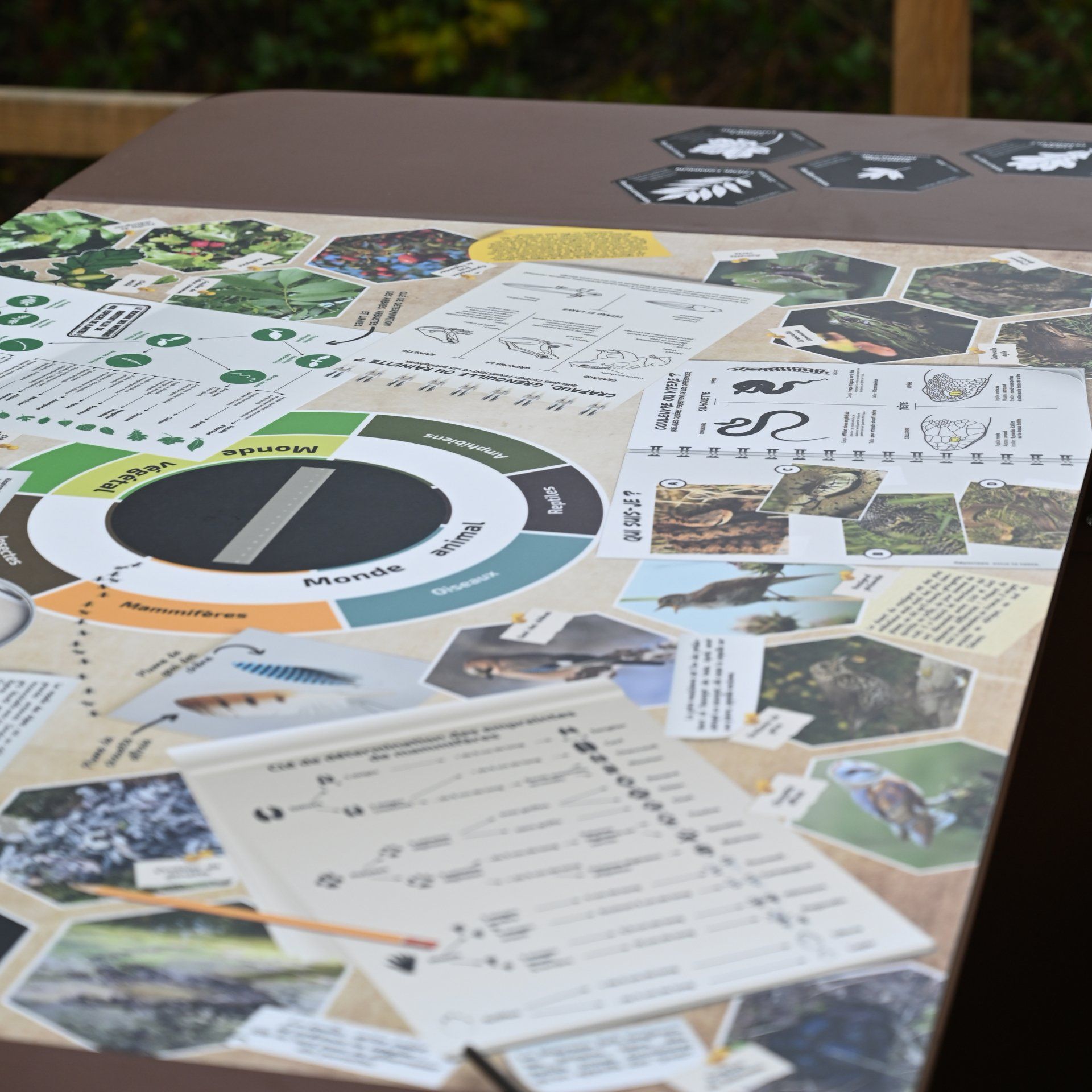 Panneau pédagogique