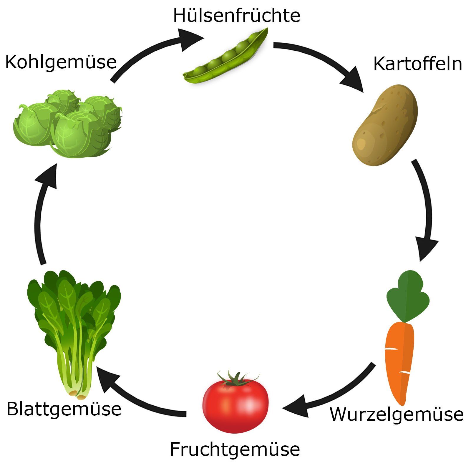 Alle Infos zum saisonalen Fruchtwechsel und der 6- bzw. 4-Felder-Wirtschaft bei BuenaParte.