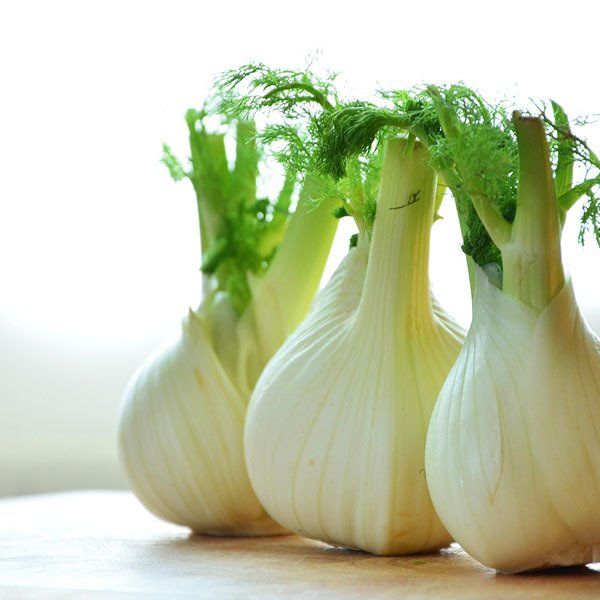 Fenchel