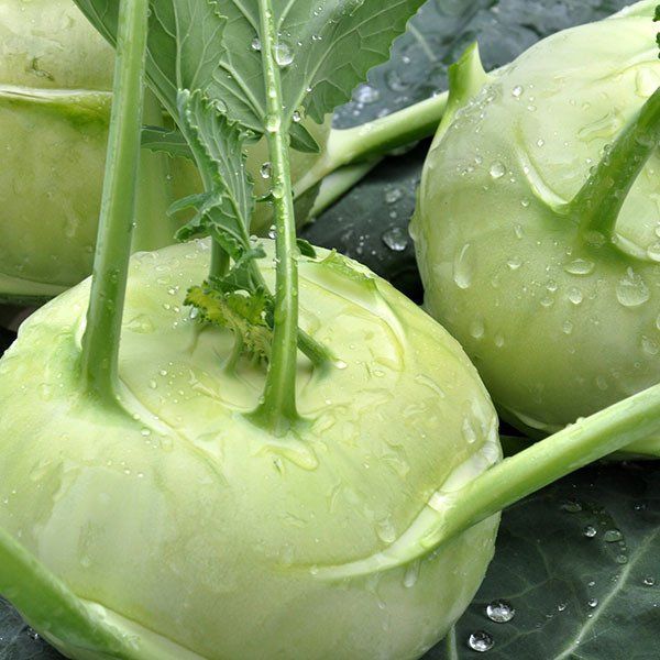 Kohlrabi