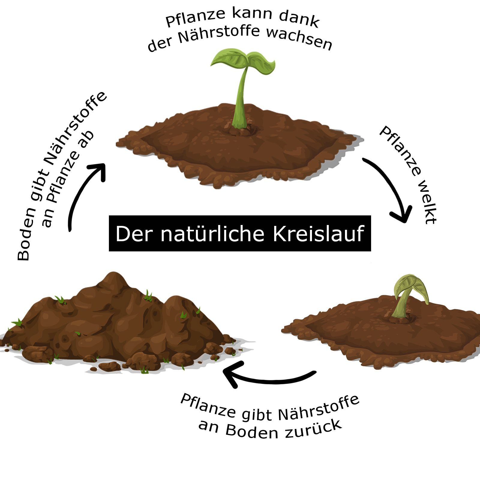 Der natürliche Kreislauf