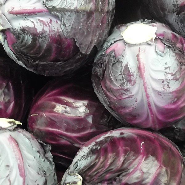 Rotkohl