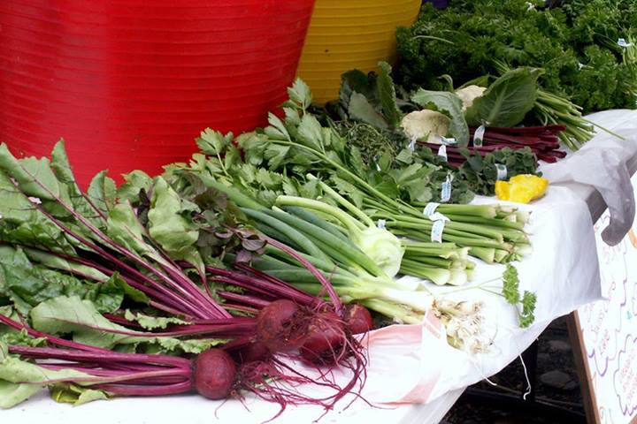 Locally grown produce from our family farm. ©Flying Squirrel Bakery Cafe, LLC