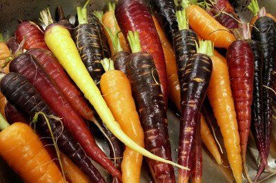 ©Flying Squirrel Bakery Cafe