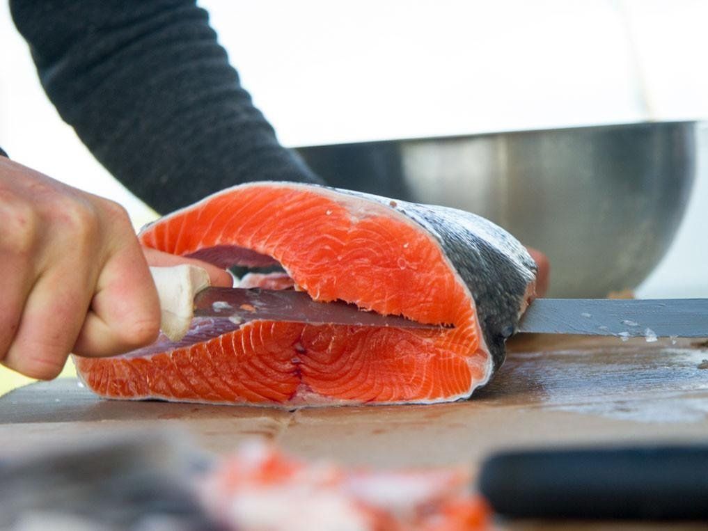 Fresh caught Alaska salmon