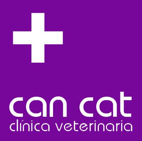 can cat clínica veterinaria