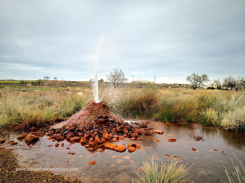 Que ver en Borja: La Estanca