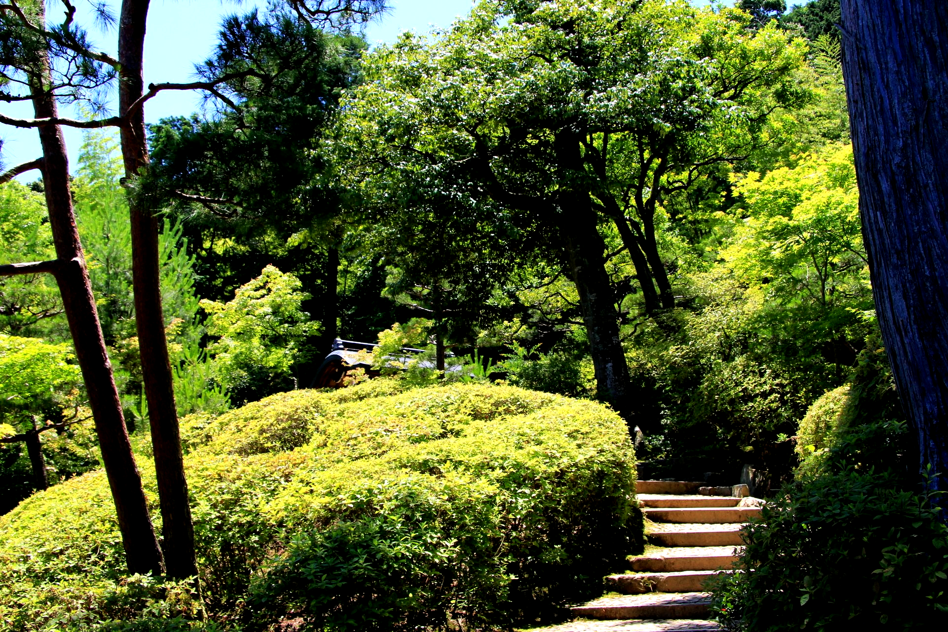 Garten Japan