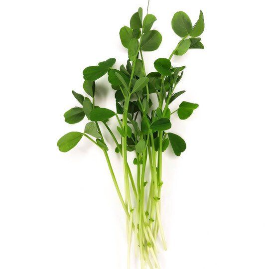 Butter's Speckled Pea Micro Greens