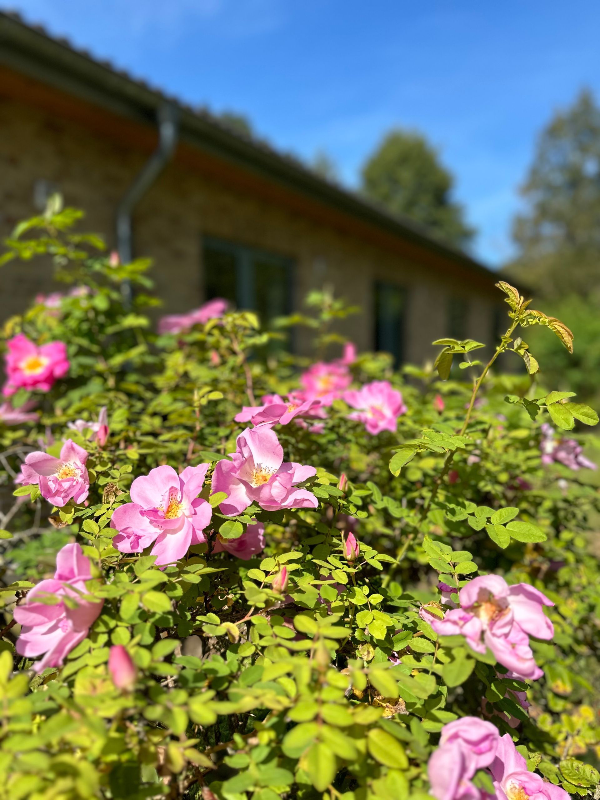 Lebenswert Demenz Wohngemeinschaft 1 hat einen großen garten für aktive Bewohner