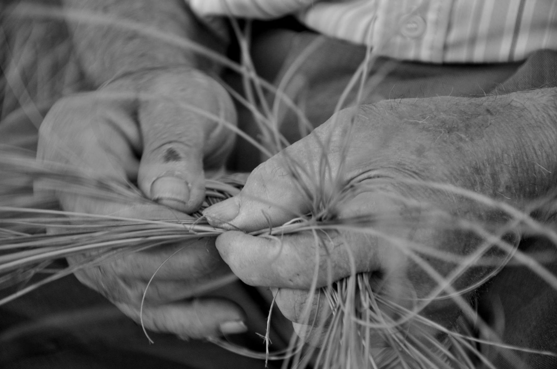 Artesanía del esparto