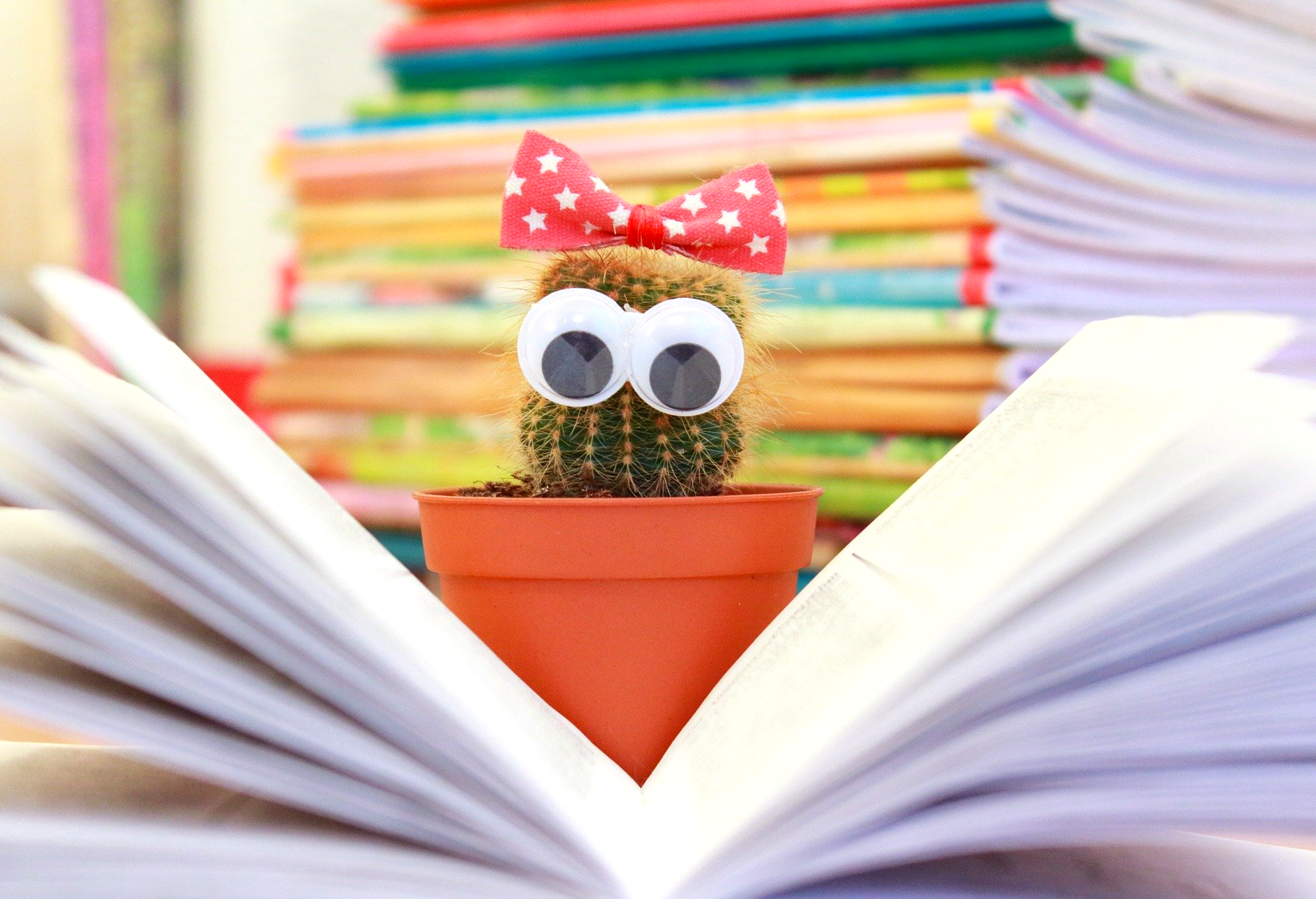 Taller Cuentos y versos