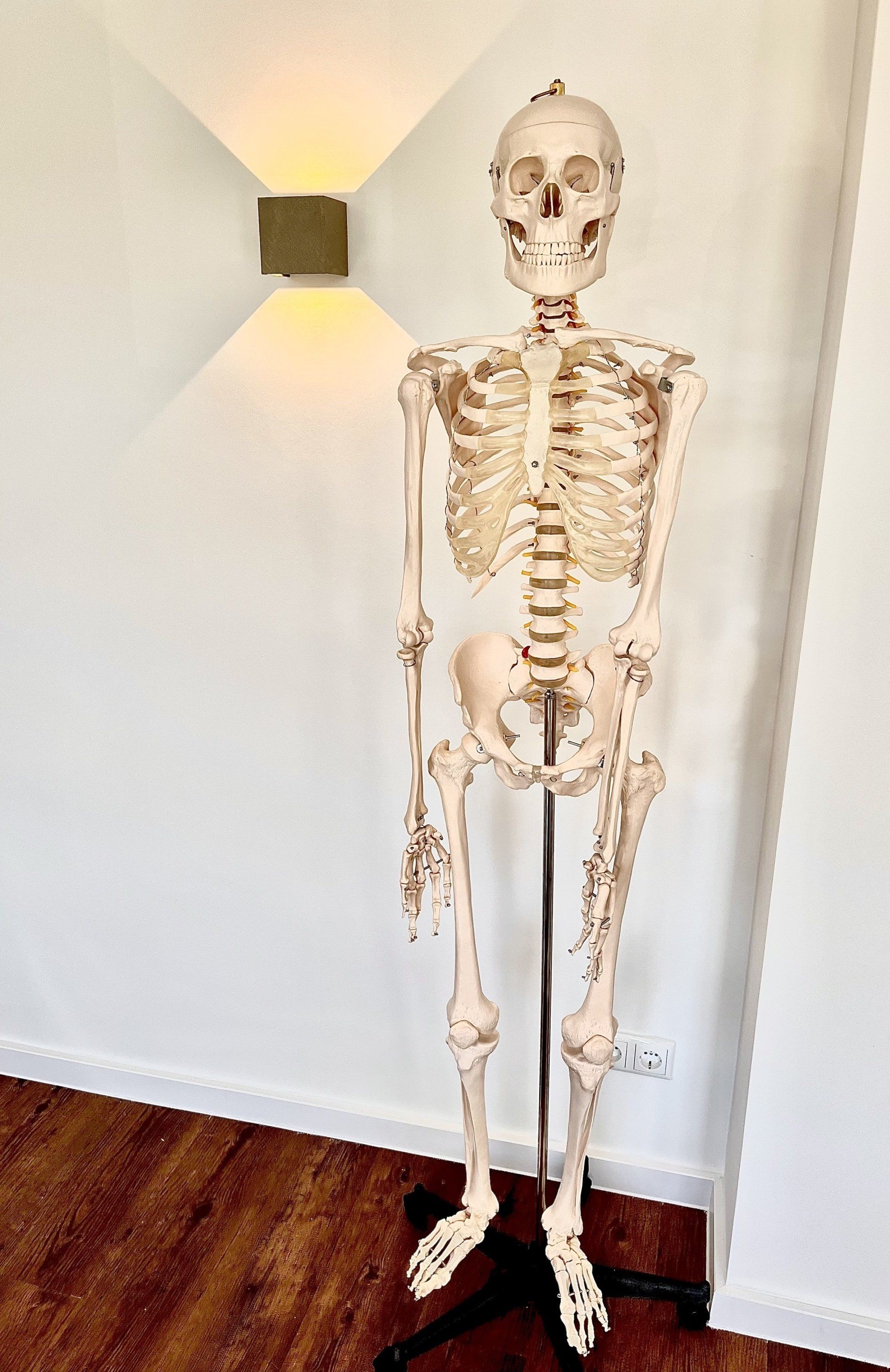 ärztliche Osteopathie Wismar