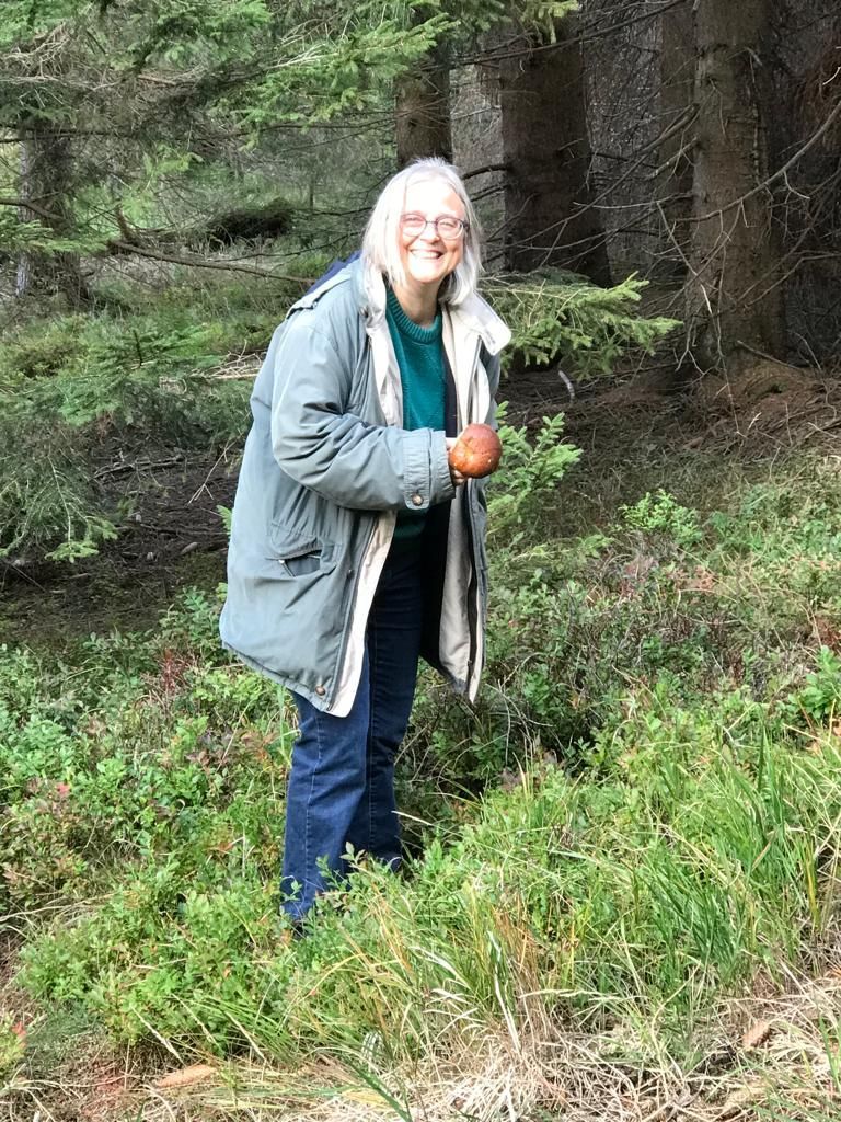 Auf der Suche nach Pilzen Pilze sammeln