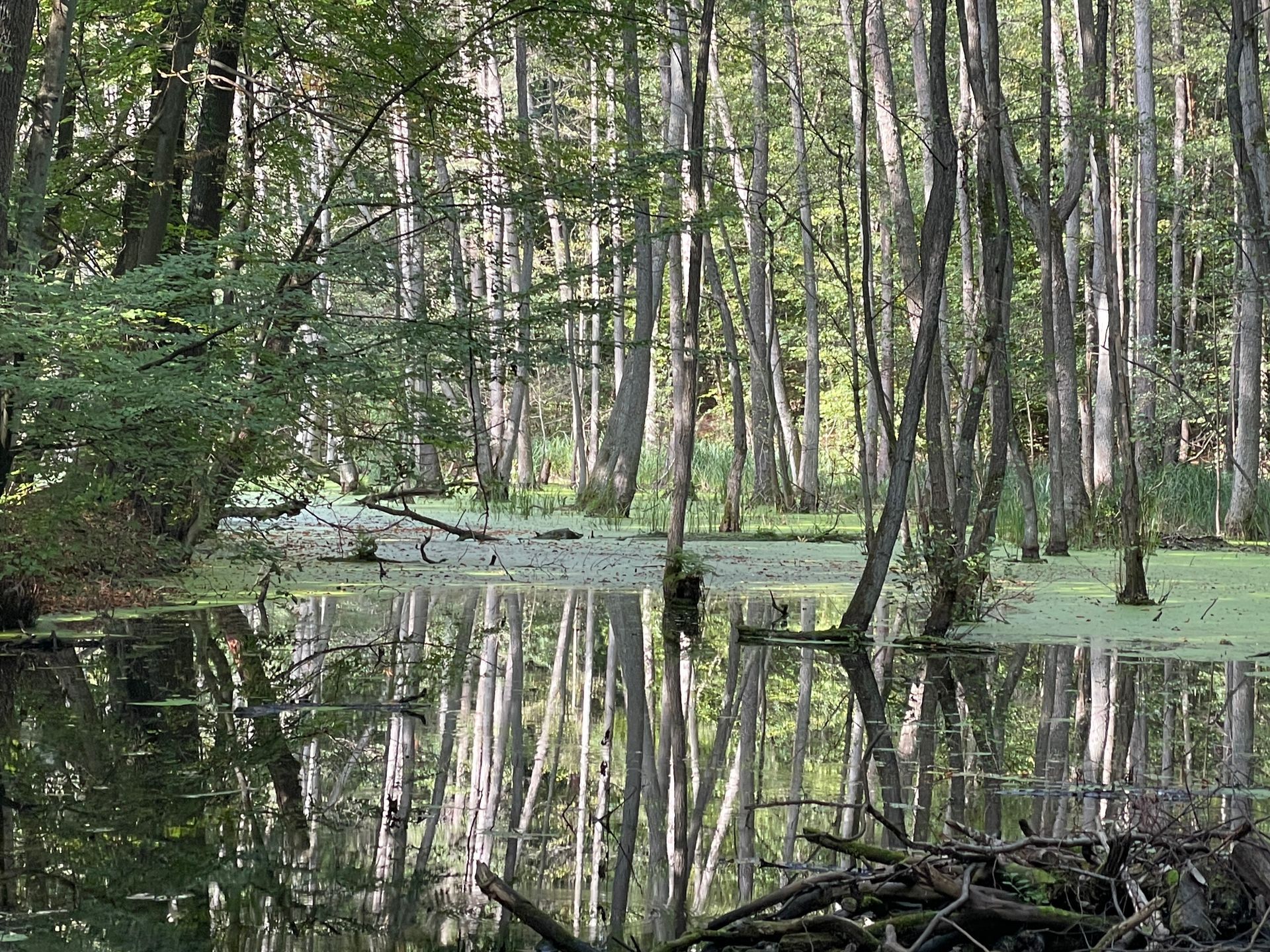 Weltkrebstag Weltkrebstag