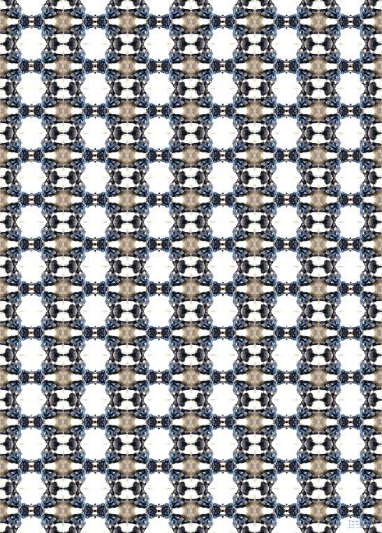 Geschenkpapier Siamkatzen