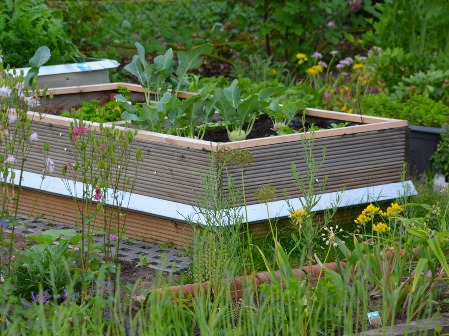 Holzhochbeet mit Metall Schneckenschutz