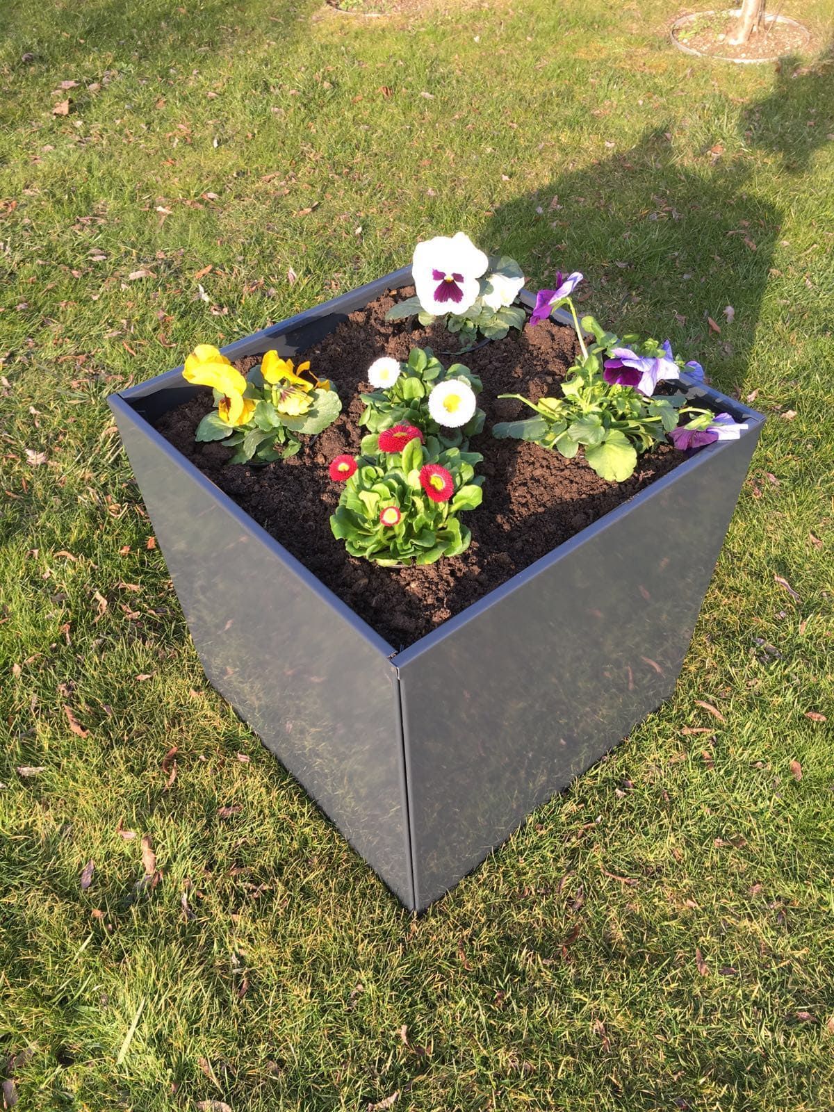 Pflanzkübel aus Metall in Anthrazit beschichtet und mit Blumen begrünt