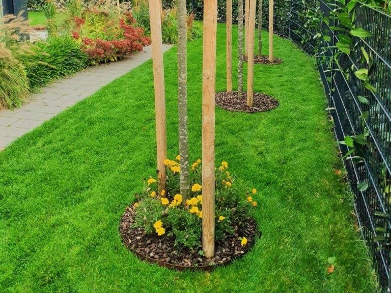 Rasenkanten Baumringe aus Metall in einem modernen Garten