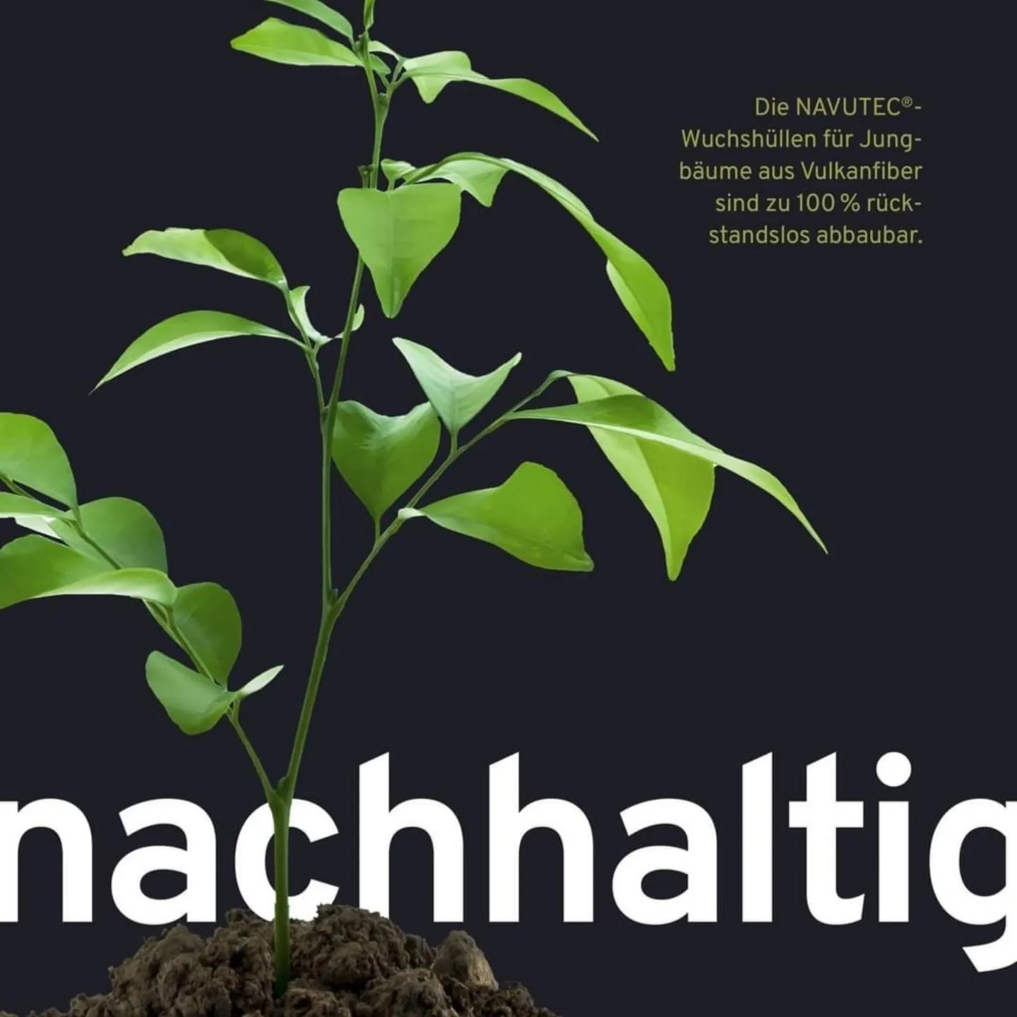 Ihr Partner im Pflanzen-Management in Meckenheim NRW