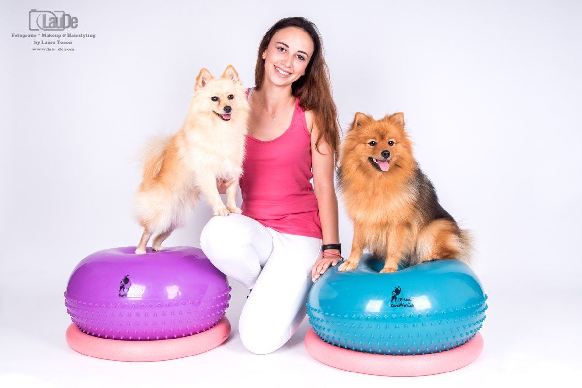 Step by Step - Tierphysiotherapie Hannover Sina Gratzke