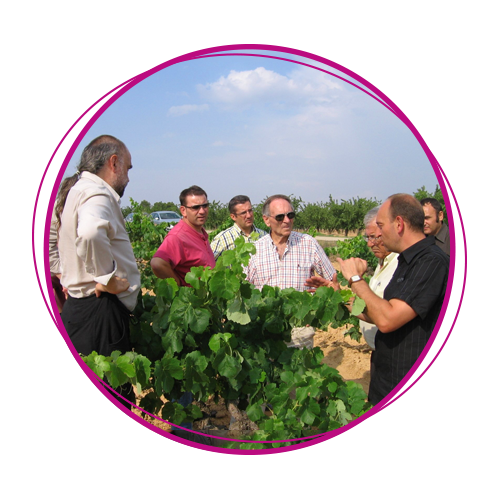 Winehead Consulting Winehead Consulting