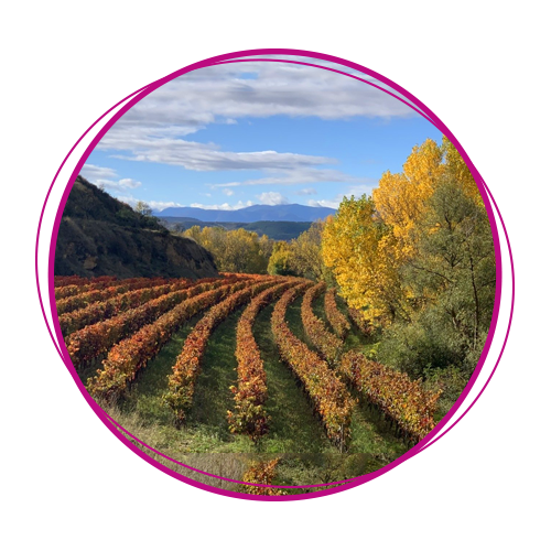 DOCa Rioja, Bodegas Castillo Mendoza DOCa Rioja, Bodegas Castillo Mendoza