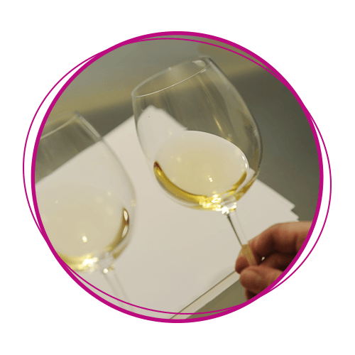 Winehead Genuss durch Wissen Winehead Genuss durch Wissen