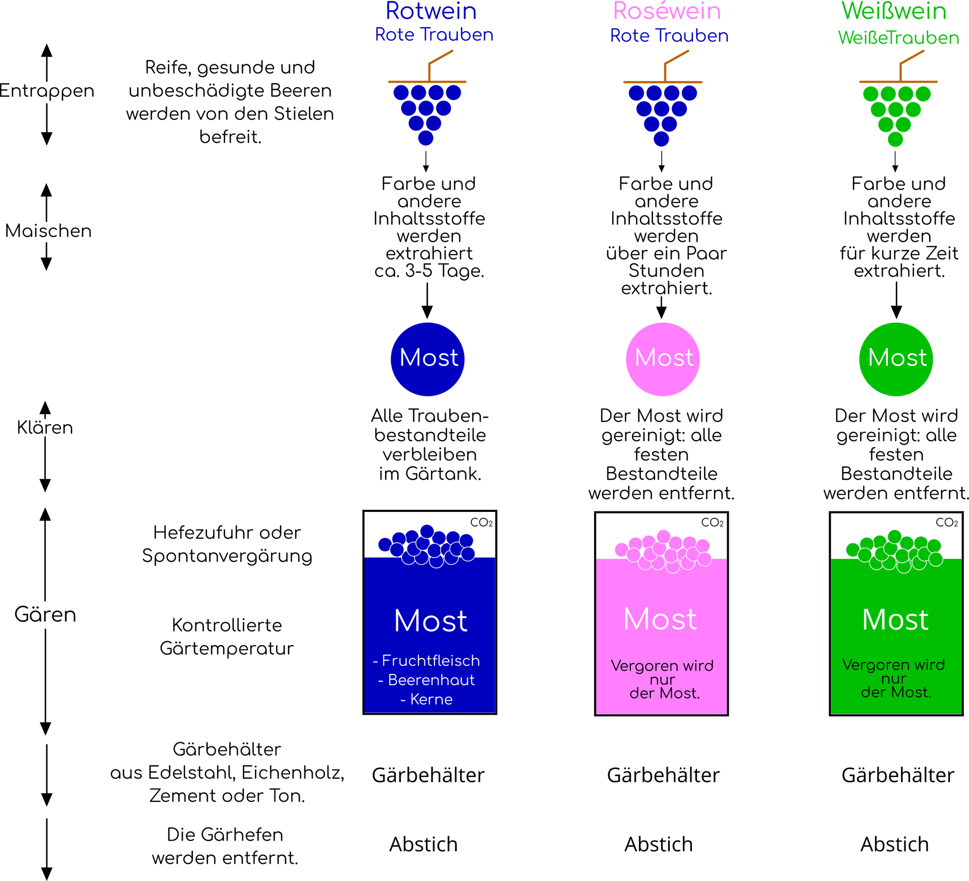 Winehead Unterschiede Rot Rosé Weißwein Winehead Unterschiede Rot Rosé Weißwein
