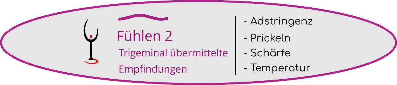 Winehead Grafik Fühlen 2 Winehead Grafik Fühlen 2