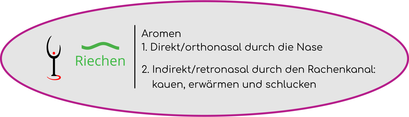 Winehead Grafik Riechen Winehead Grafik Riechen