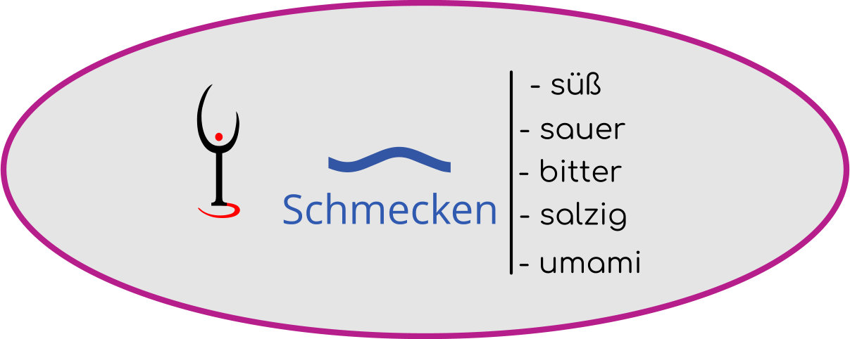 Winehead Grafik Schmecken Winehead Grafik Schmecken