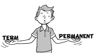 term or perm insurance