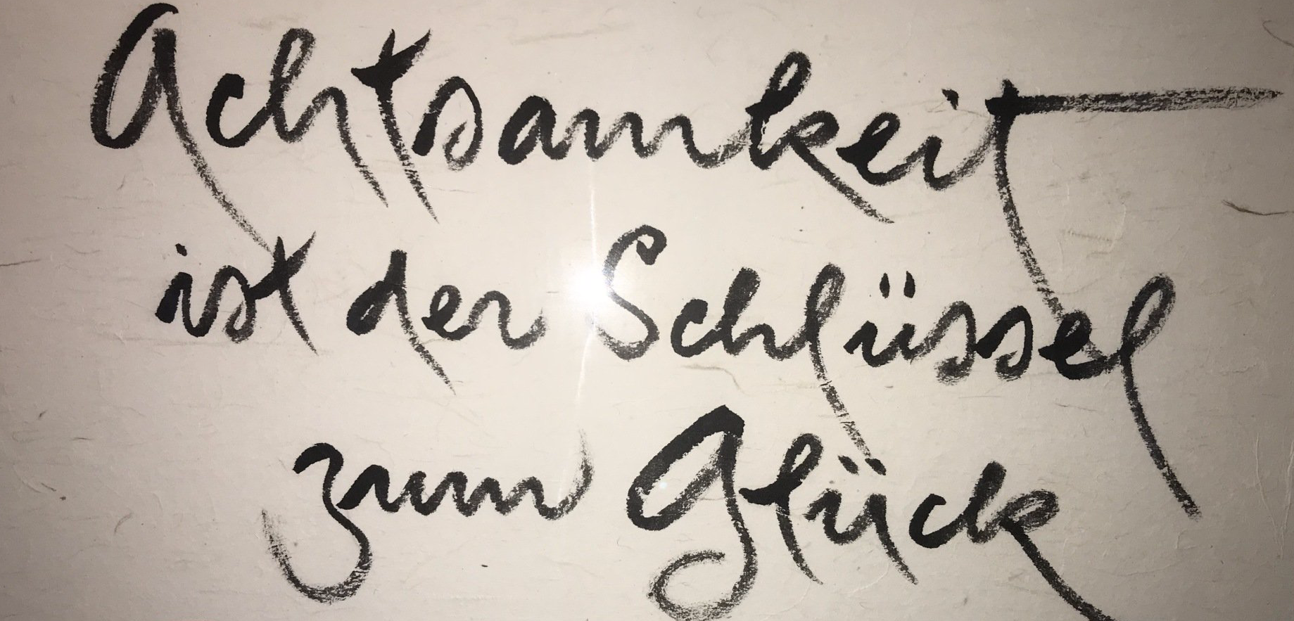 Achsamkeitstraining, MBSR Köln, MBCL Köln