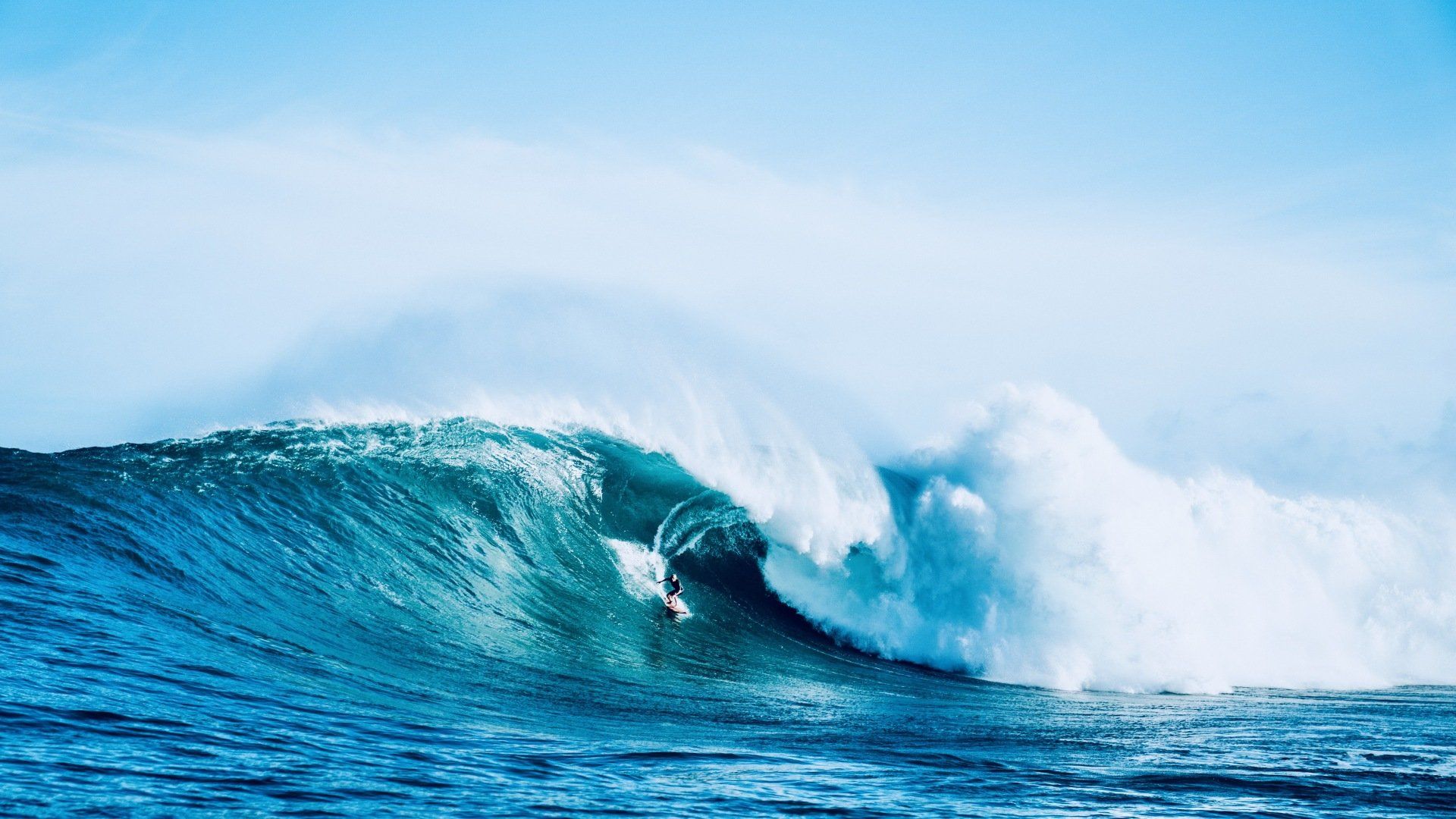 Man kann die Wellen nicht stoppen, aber man kann lernen, auf ihnen zu reiten.