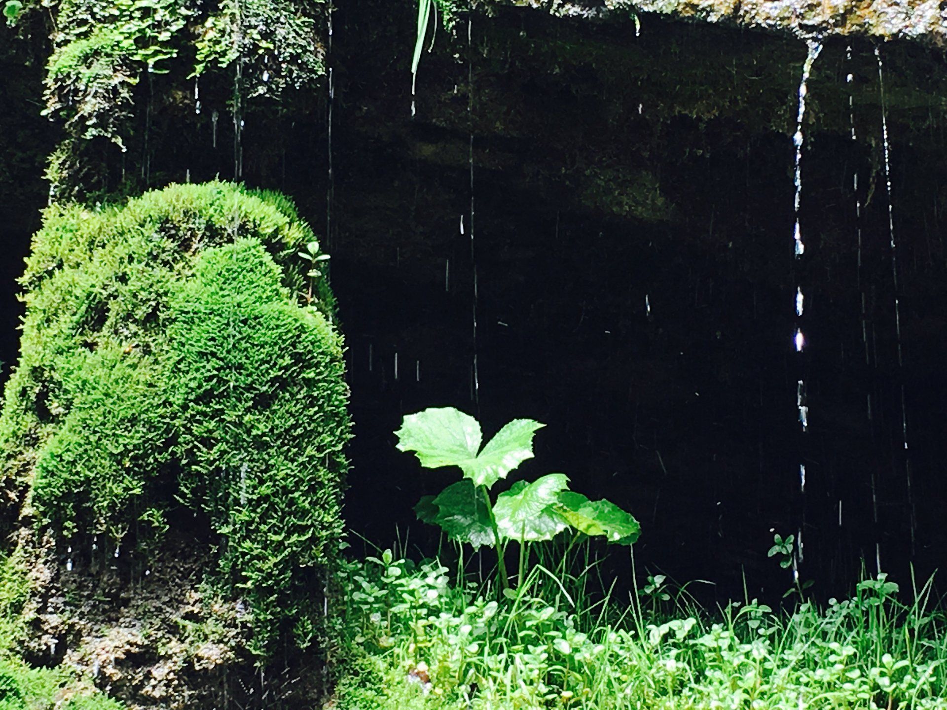 Achtsamkeit-Klimabewusstsein