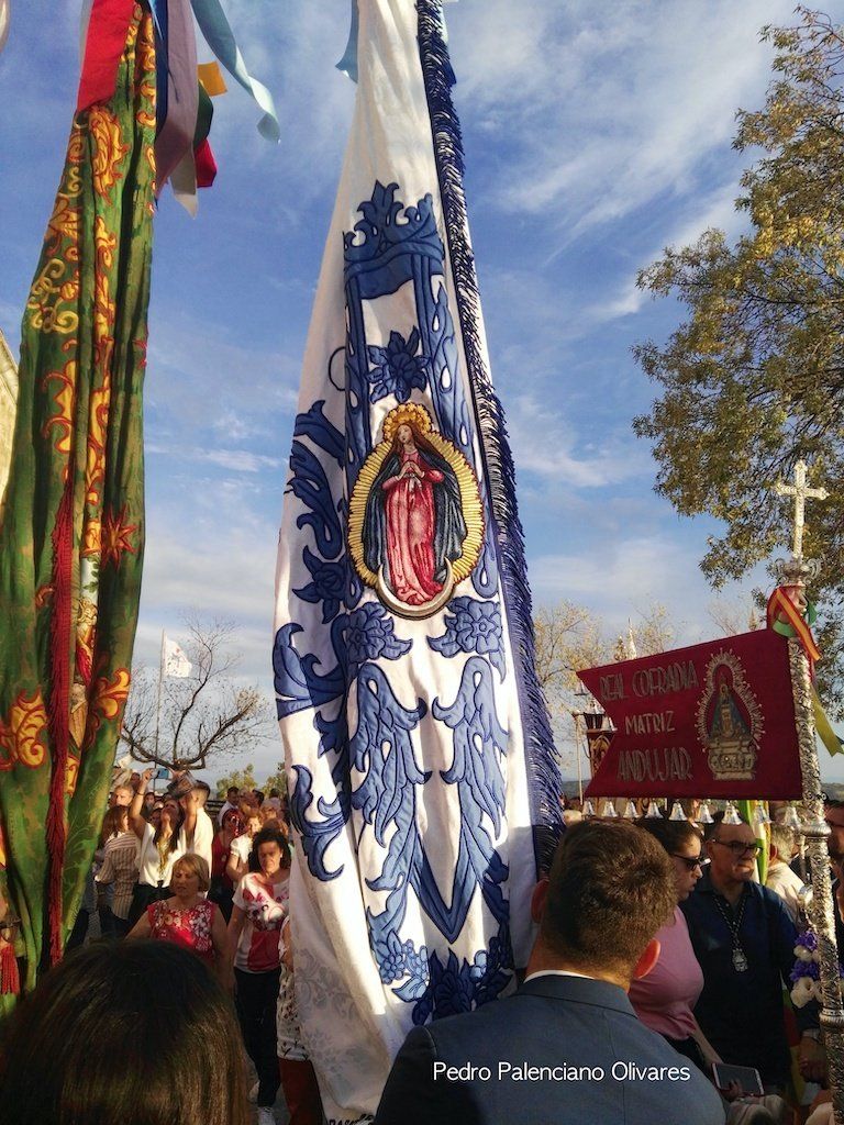 bandera concepcionista Cofradia andujar