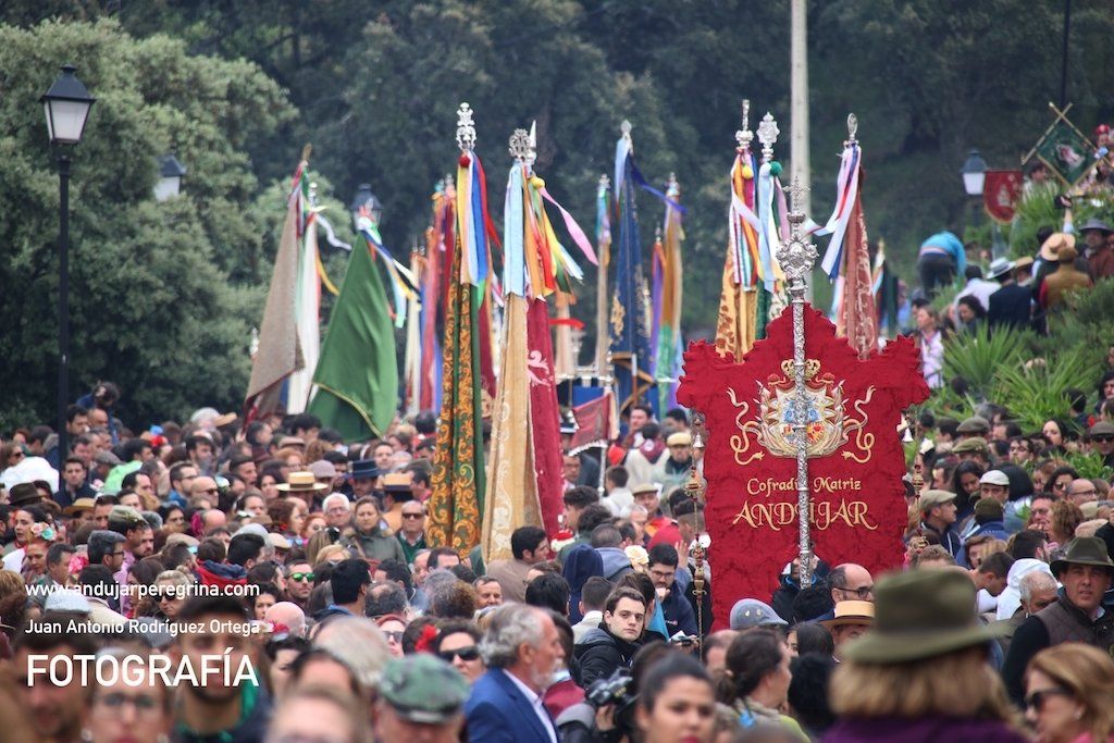 banderas y estandarte en la procesion de romeria de andujar