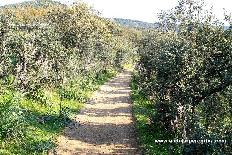 Camino que une Andújar con el Santuario camino virgen de la cabeza